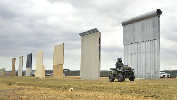 特朗普称将对法院有关阻止使用国防资金修建美墨边境墙的判决提出上诉 - 俄罗斯卫星通讯社