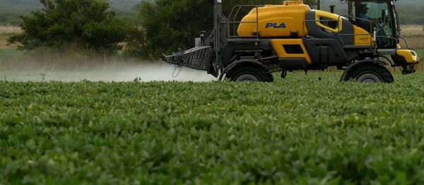 美媒：中国暂停采购美国农产品 - 俄罗斯卫星通讯社