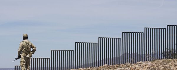 特朗普：如果不能阻遏移民持續湧入則不得不關閉部分美墨邊界 - 俄羅斯衛星通訊社