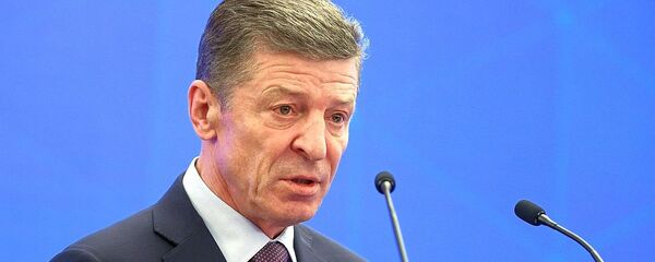 俄副总理：摩尔多瓦的外交应由代表本国民意的势力来决定 - 俄罗斯卫星通讯社