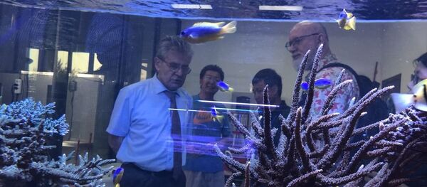 俄中學者擬共同參加深水研究項目 - 俄羅斯衛星通訊社