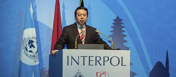 公安部原副部长孟宏伟被逮捕 - 俄罗斯卫星通讯社