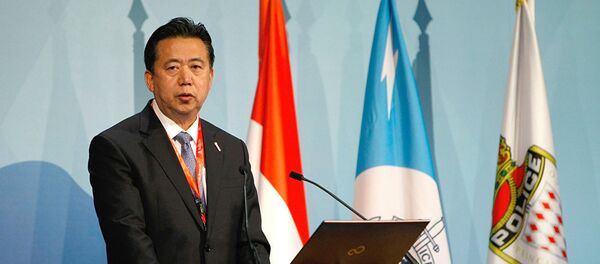 原中国公安部副部长、国际刑警组织主席孟宏伟 - 俄罗斯卫星通讯社