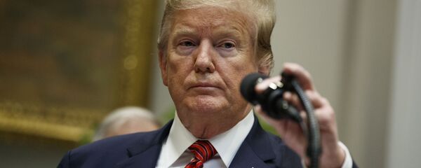 美国总统特朗普 - 俄罗斯卫星通讯社