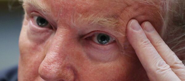 U.S. President Donald Trump participates in briefing on southern U.S. border in the Roosevelt Room at the White House in Washington - 俄罗斯卫星通讯社