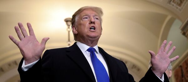 U.S. President Trump arrives for closed Senate Republican policy lunch on Capitol Hill in Washington - 俄罗斯卫星通讯社