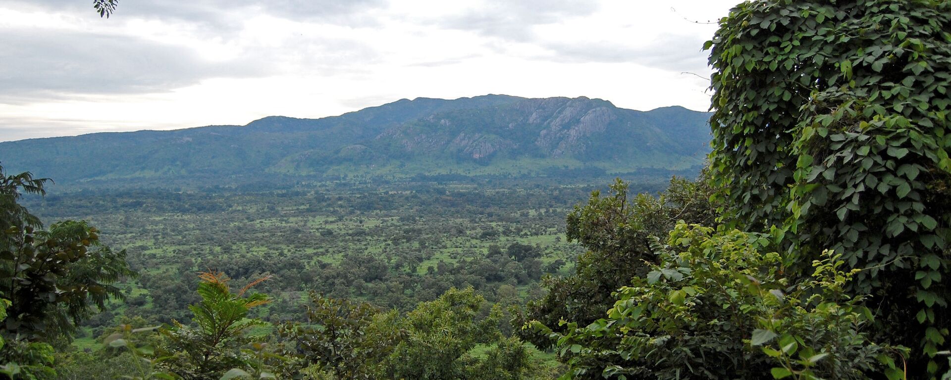 俄驻尼日利亚贸易代表：俄罗斯农业综合体将出现在尼日利亚 - 俄罗斯卫星通讯社, 1920, 26.04.2025