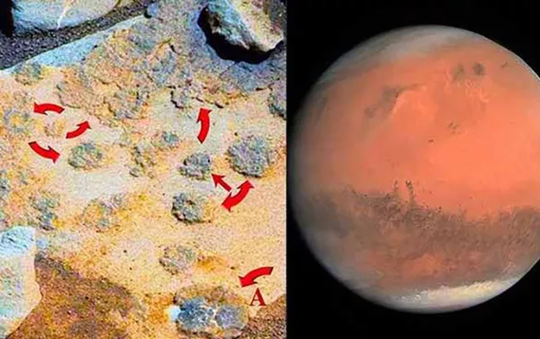 “好奇號”火星探測車的不尋常發現 - 俄羅斯衛星通訊社