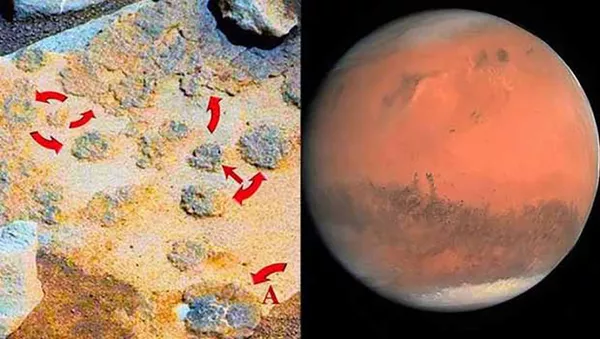“好奇號”火星探測車的不尋常發現