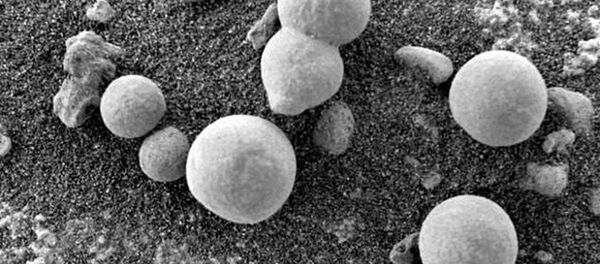 火星上的蘑菇：“好奇号”火星探测车的不寻常发现 - 俄罗斯卫星通讯社