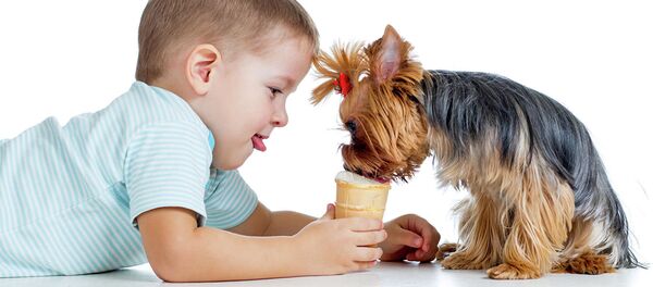 哪些犬种最适合孩子？ - 俄罗斯卫星通讯社