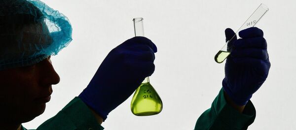 俄远东科学家发现提取人参药用物质的新方法 - 俄罗斯卫星通讯社