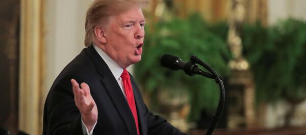 特朗普称继续谈论“通俄”的民主党人是“病人” - 俄罗斯卫星通讯社