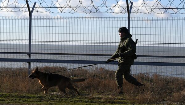 克里米亞與烏克蘭接壤邊界地帶加強戒備 - 俄羅斯衛星通訊社