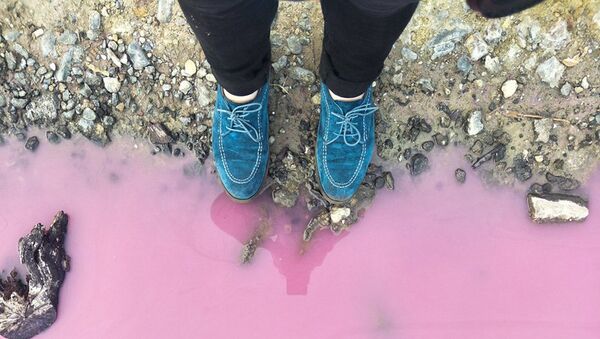 Розовое озеро Вестгейт в Австралии - 俄罗斯卫星通讯社