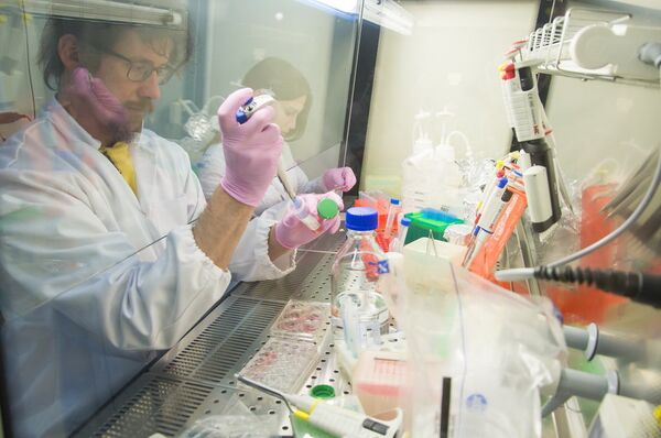 遠東聯邦大學基因組和再生醫學中心負責人亞歷山大·卡甘斯基（Alexander Kagansky） - 俄羅斯衛星通訊社