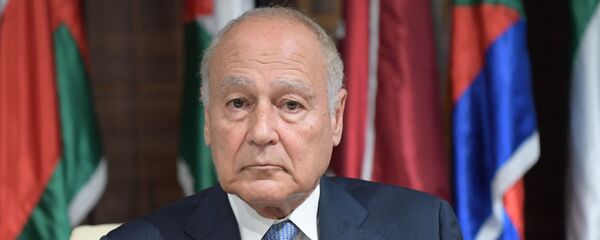 Генеральный секретарь Лиги арабских государств Ахмед Абуль Гейт в Тунисе - 俄罗斯卫星通讯社