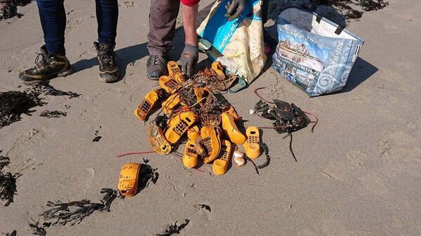 法国解开被冲到海滩35年的加菲猫手机之迷 - 俄罗斯卫星通讯社