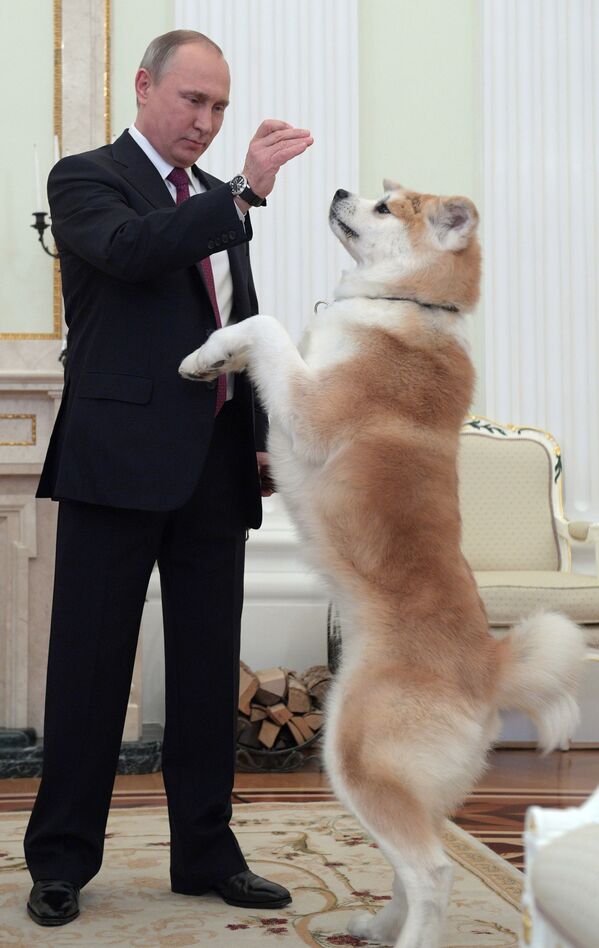 俄罗斯总统普京在克里姆林宫接受采访前与小狗“尤迈” - 俄罗斯卫星通讯社