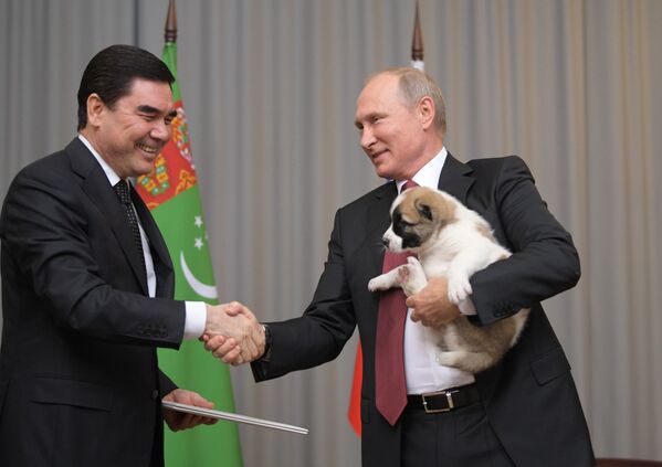  俄罗斯总统普京与土库曼斯坦总统别尔德穆哈梅多夫赠送的中亚牧羊犬幼犬“忠诚“ - 俄罗斯卫星通讯社