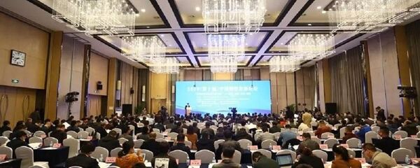 2019（第十届）中国钢铁发展论坛在北京举行 - 俄罗斯卫星通讯社