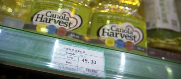 油菜籽或成中國與加拿大關係發展的障礙? 油菜籽或成中國與加拿大關係發展的障礙? - 俄羅斯衛星通訊社