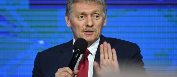 克宮：普京祝願澤連斯基在解決頓巴斯問題上取得首批成績 - 俄羅斯衛星通訊社