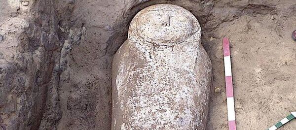 埃及发现四千年前石棺和木乃伊 - 俄罗斯卫星通讯社