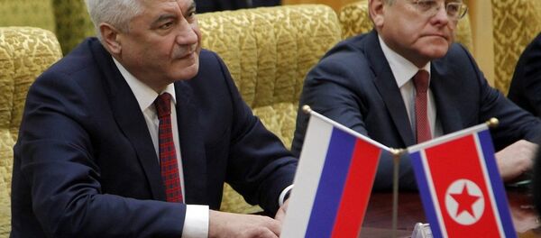 弗拉基米爾·科洛科利採夫（資料圖片） - 俄羅斯衛星通訊社