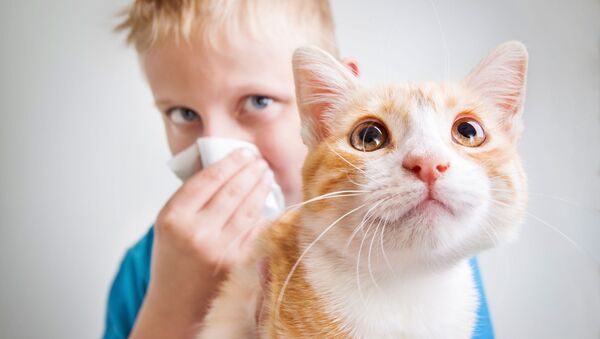 Мальчик с аллергией на кота - 俄罗斯卫星通讯社