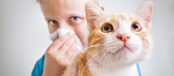 Мальчик с аллергией на кота - 俄罗斯卫星通讯社