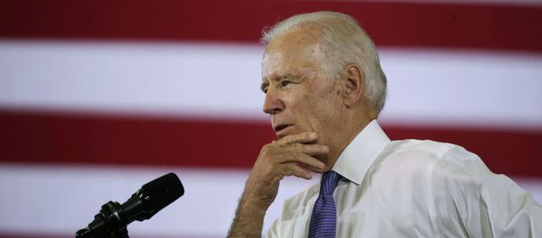 拜登在民主党2020年总统参选人阵营中处于领先地位 - 俄罗斯卫星通讯社