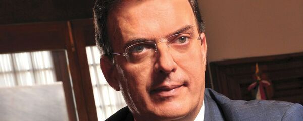 马塞洛∙埃布拉德 - 俄罗斯卫星通讯社