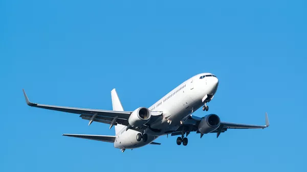 波音737-800 - 俄羅斯衛星通訊社
