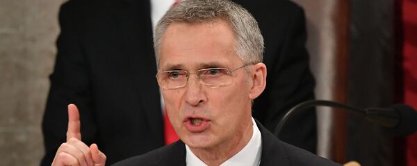 北约秘书长称俄罗斯在北极地区的军事存在扩大 - 俄罗斯卫星通讯社