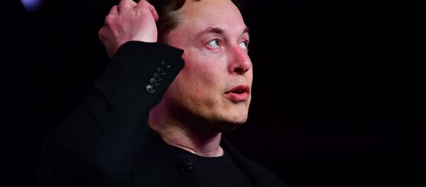 马斯克不排除2019年第二季度特斯拉产销量创纪录的可能性 - 俄罗斯卫星通讯社