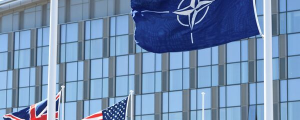 北约总部 - 俄罗斯卫星通讯社
