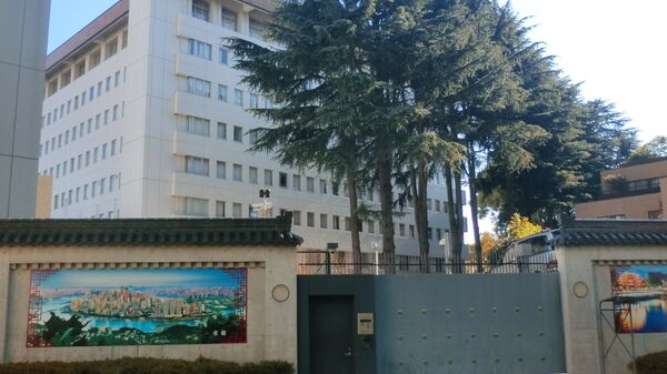 中國駐日本大使館 - 俄羅斯衛星通訊社