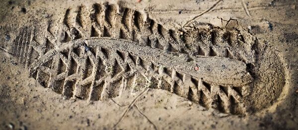 След от подошвы кроссовок - 俄罗斯卫星通讯社