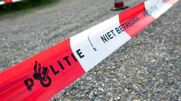 媒體：荷蘭監獄系統因數百名外國囚犯人滿為患 - 俄羅斯衛星通訊社