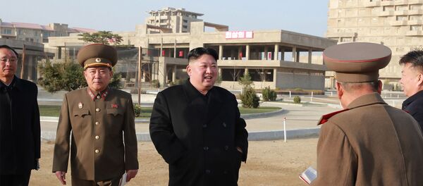 金正恩视察旅游区工地 - 俄罗斯卫星通讯社