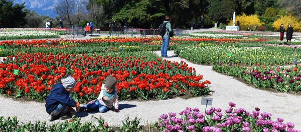 克里米亞內務部指出遷至克里米亞的俄羅斯公民數量 - 俄羅斯衛星通訊社