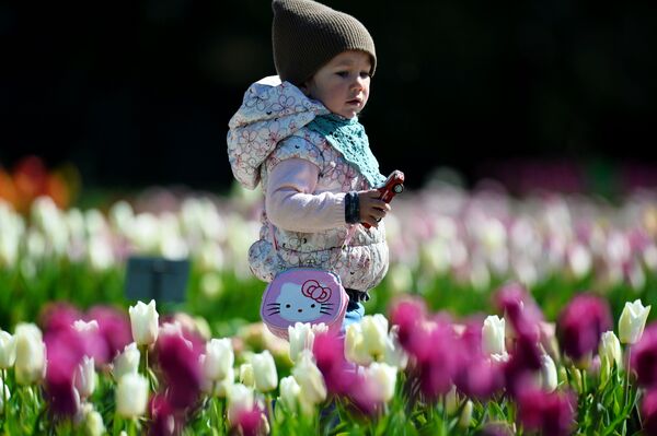 克里米亞尼基塔植物園裡的孩子。 - 俄羅斯衛星通訊社