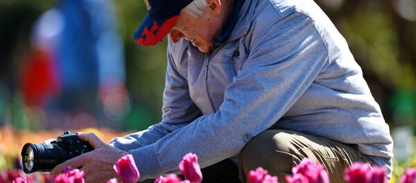 中國代表將首次參加俄鄂木斯克花卉園藝展 中國代表將首次參加俄鄂木斯克花卉園藝展 - 俄羅斯衛星通訊社
