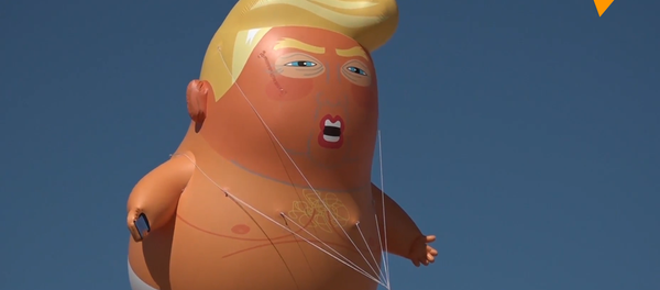 特朗普到访美墨边境:抗议者放飞巨型特朗普宝宝 特朗普到访美墨边境:抗议者放飞巨型特朗普宝宝 - 俄罗斯卫星通讯社