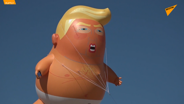 特朗普到訪美墨邊境：抗議者放飛巨型特朗普寶寶 - 俄羅斯衛星通訊社