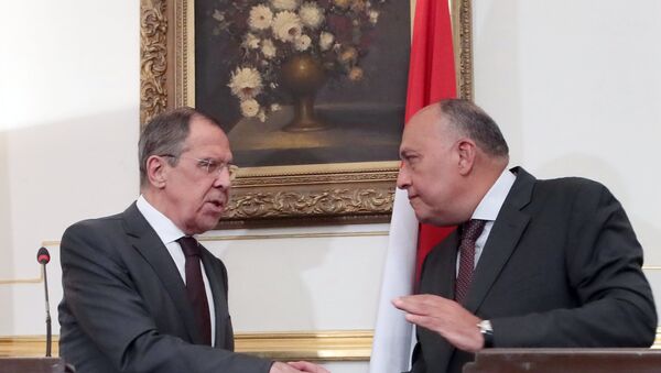 俄外長拉夫羅夫與埃及外長 - 俄羅斯衛星通訊社