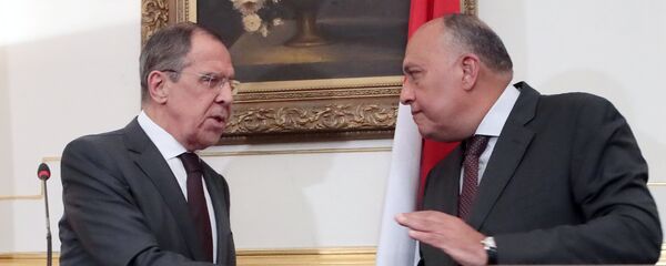 俄外長拉夫羅夫與埃及外長 - 俄羅斯衛星通訊社