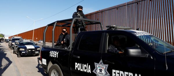 墨西哥一军队巡逻队遇袭致15人死亡 - 俄罗斯卫星通讯社