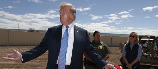 墨西哥外交部邀请蓬佩奥讨论特朗普有关墨毒品卡特尔的声明 - 俄罗斯卫星通讯社